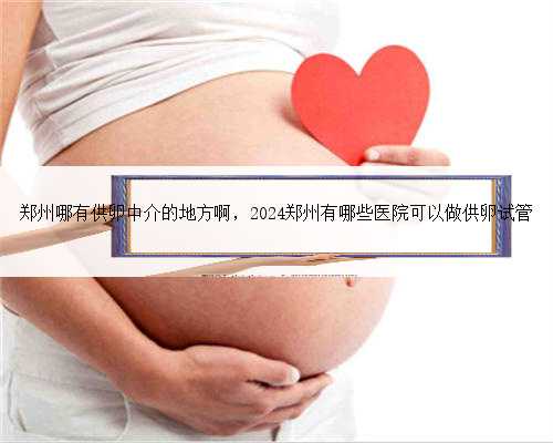 郑州哪有供卵中介的地方啊，2024郑州有哪些医院可以做供卵试管